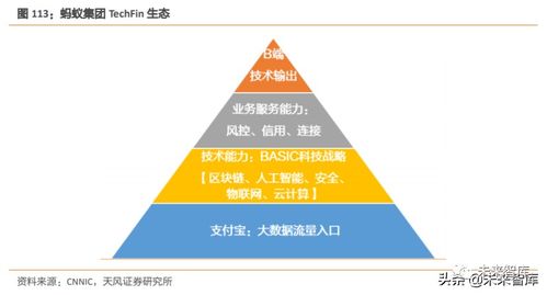 螞蟻集團(tuán)三大戰(zhàn)略深度剖析 從支付工具到數(shù)字金融服務(wù)體系與企業(yè)征信服務(wù)